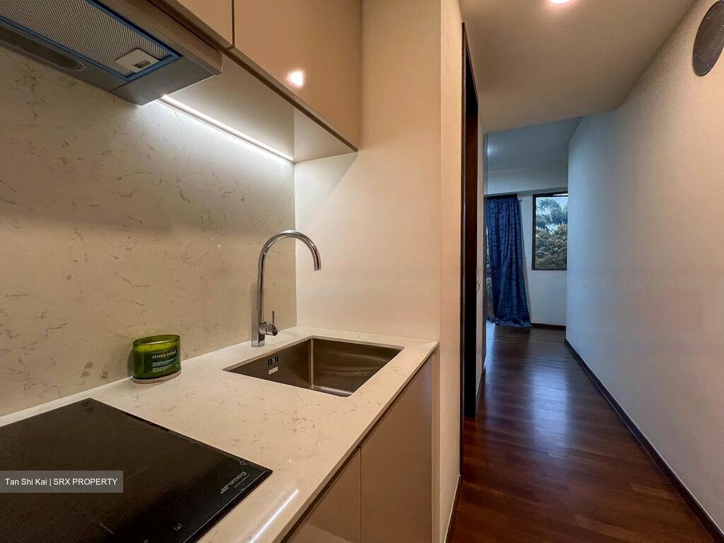 FORETT AT BUKIT TIMAH (D21), Apartment #472924421